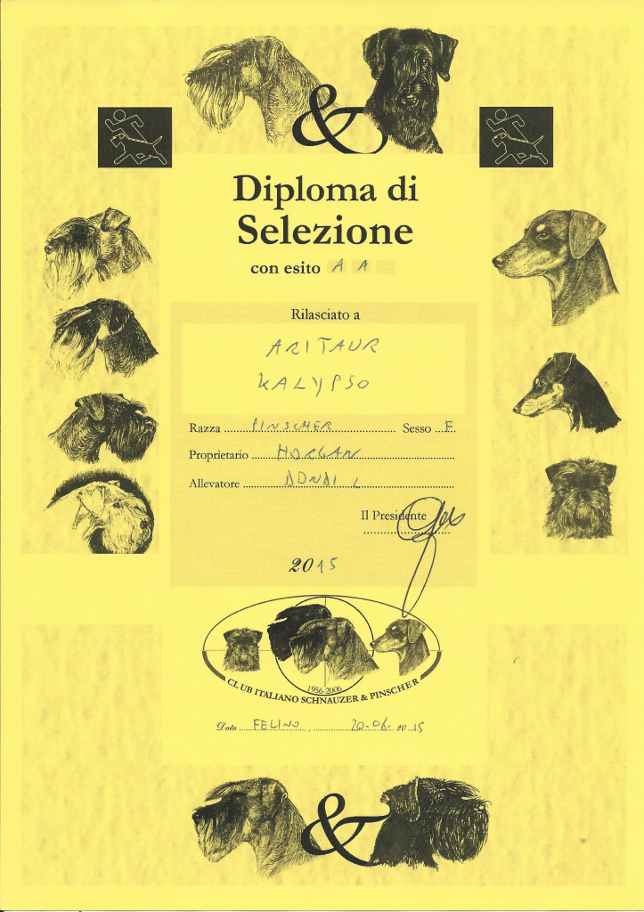 Diploma di selezione