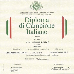 Campione italiano 2014