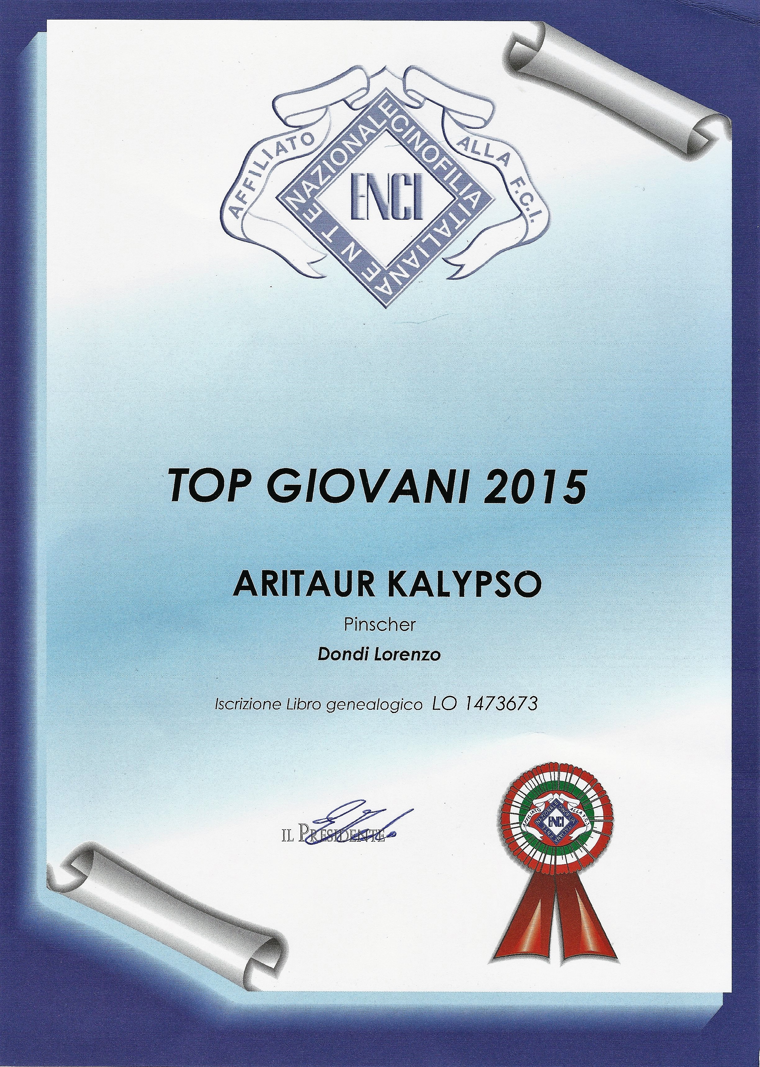 Top Giovani 2015