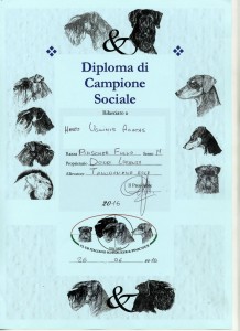 Campione sociale 2016