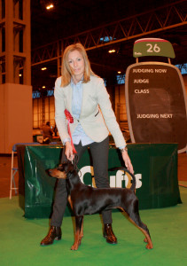 Crufts miglior giovane